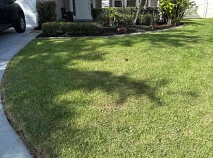 Pam H.'s grass maintenance service result