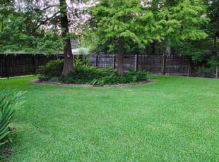 Todd S.'s turf care service result
