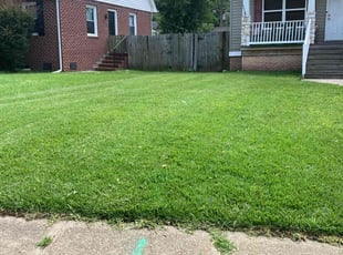 Emily A.'s lawn care service result
