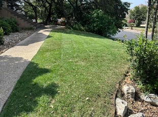 Mercedes B.'s grass cutting service result