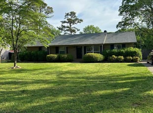 Camille C.'s turf care service result