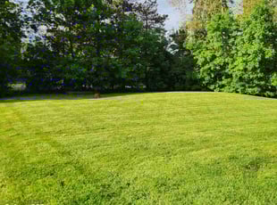 Shirley L.'s grass cutting service result