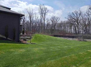 Mary N.'s turf care service result