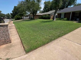 Manar S.'s lawn care services service result