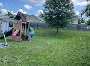 Tony M.'s turf maintenance service result