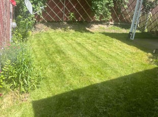 Ryan R.'s grass maintenance service result