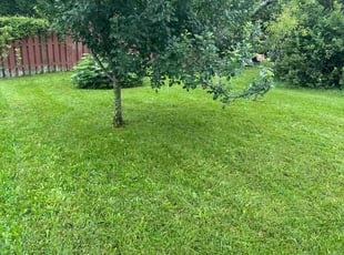John H.'s lawn care services service result