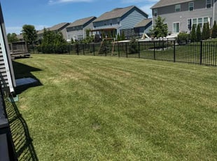 Crystal A.'s lawn service service result