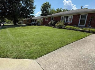 Louis V.'s turf care service result