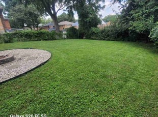 Whitney M.'s lawn service service result