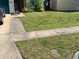 Dane S.'s turf maintenance service result