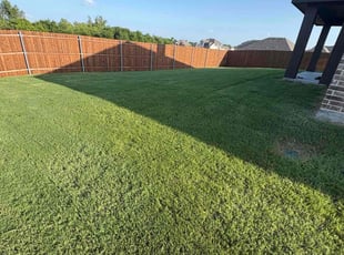 Mario Y.'s turf care service result