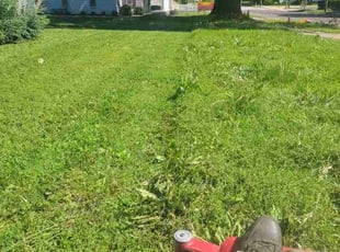 Kim O.'s turf care service result