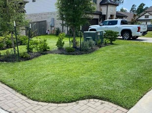 Isabelle N.'s grass cutting service result