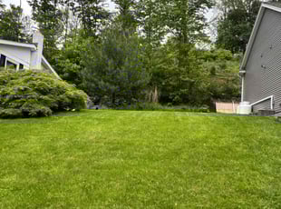 Rosena S.'s lawn care services service result