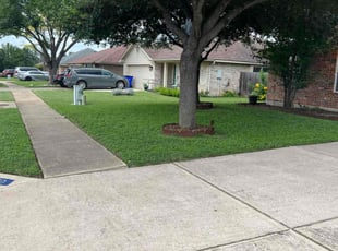 Colleen N.'s lawn service service result