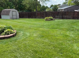 Scott A.'s turf care service result