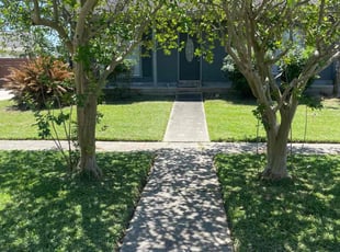Meghan W.'s grass maintenance service result