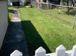George I.'s turf maintenance service result