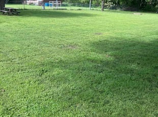 Moo A.'s turf maintenance service result