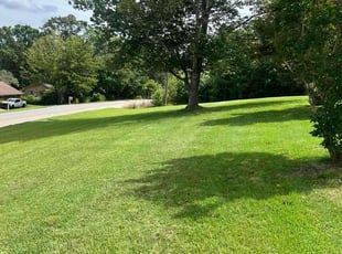 Matthew D.'s lawn maintenance service result