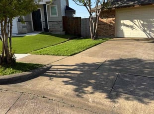 Poola N.'s grass cutting service result