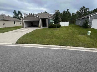 Carol S.'s grass maintenance service result