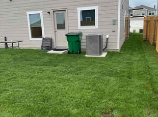 Zach F.'s lawn care service result