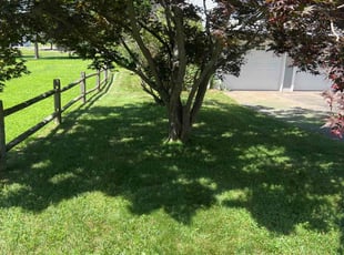 Brett M.'s lawn care services service result
