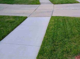 Eleanor W.'s lawn maintenance service result