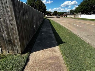 Brett S.'s lawn care services service result