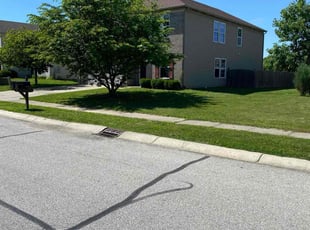 Mariana P.'s grass maintenance service result