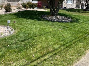 Christine R.'s grass maintenance service result