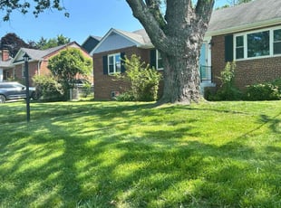 Shelly C.'s turf maintenance service result