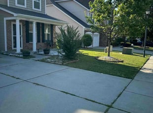 William F.'s lawn care service result