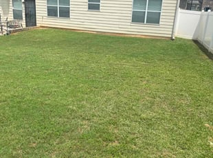 Anne N.'s lawn care service result