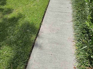 Tracy L.'s grass maintenance service result