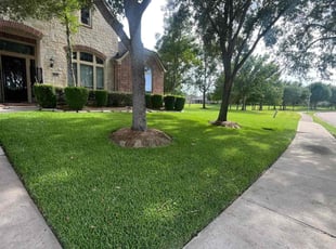 Jody P.'s Long Grass Cleanup service result