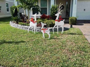 Kim B.'s lawn care services service result