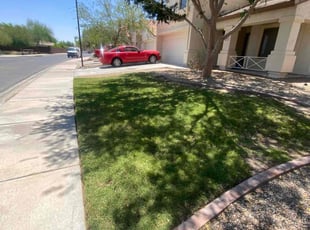 Rhonda K.'s lawn care service result