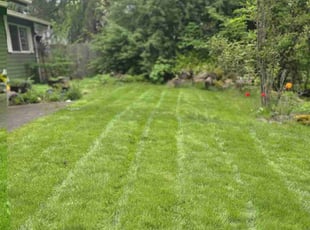 Rachel L.'s grass cutting service result