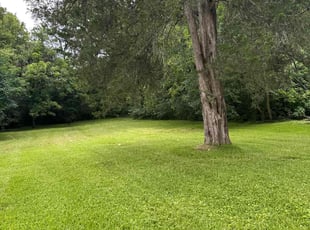 Rita J.'s lawn maintenance service result