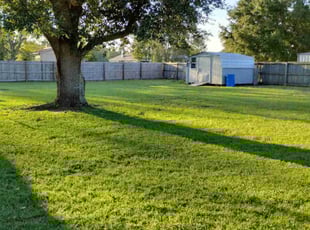 Tisha S.'s lawn maintenance service result