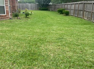 Paula C.'s lawn service service result