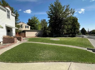 Mitchell K.'s grass cutting service result