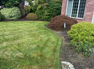 Donna S.'s lawn care services service result