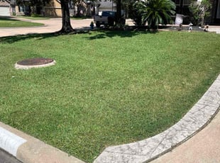 Jaye D.'s lawn care service result