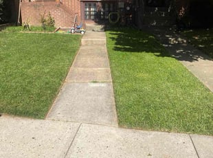 Sylvia R.'s turf maintenance service result