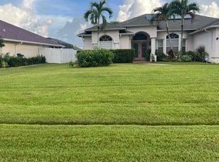 Kim C.'s turf maintenance service result