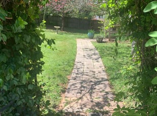 Manuela P.'s turf maintenance service result